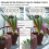 WiFi Tuya Smart Watering Machine Automatic Micro-D 8