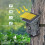 Trail Camera All-in One Structure Li-Battery Wildl 9
