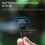 Lavalier Microphone for X4 Sports Camera Recordin 7