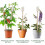 10Pcs 13.5Inch Electroculture Plant Stakes,Long Co 5