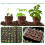 Handheld Seedling Soil Block Maker Soils Blocking 6