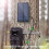 12V/1A 6V/2A Solar Panel Micro-USB+Type-C Outdoor 10