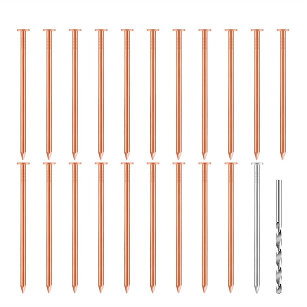 20 Pcs Copper Nails For Killing Trees, Stumps & - 4851489607817