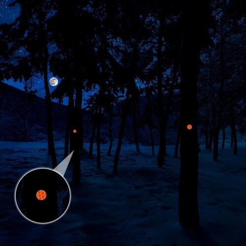 Reflective Tacks Trail Marking Glow Markers Thumb 2