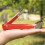 2 Pcs Bark Removal Tool Peeler - Scraping for Pati 6