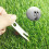 Golf Fork Divot Pitch Repairer Tool Prongs for Put 10