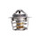 5pcs 77707-0010 Thermal Regulator Kit Fit for Mast 6