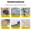4 in 1 Cleaning -Tool, 2Pcs Stainless Steel Paint 4