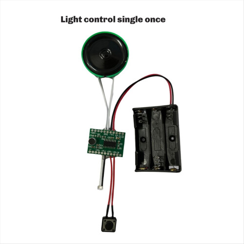 Light-Controll Recording and Sound Module Light-Ac 2