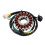 Generator Stator Coil for CBX250 XR250 High New A 2