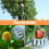 Fruit Picking Tools, Metal Cherry Picking Tools, Fruit Picking Basket Heads, Garden Hardware Tools 6