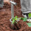 2PCS Bulb Planter Tool,Plant and Fruit Tree Seedli 8