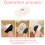 20 Pcs Self Adhesive Swivel Caster Stainless Steel 3