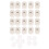 20 Pcs Self Adhesive Swivel Caster Stainless Steel 2