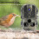 Wildlife Tracking Outdoor Security Camera 4K 24MP 10