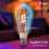 Tuya Zigbee Smart ST64 LED Light Bulbs 16 Million 7