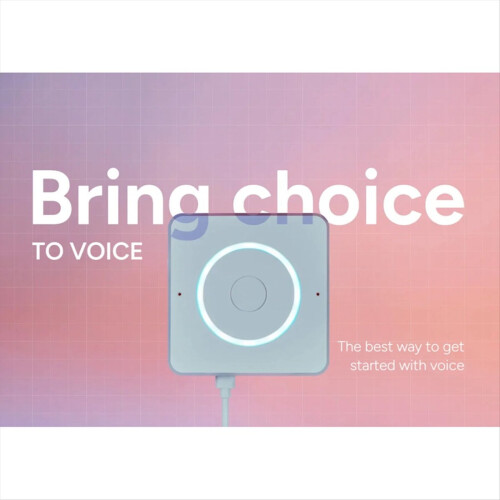 Home Assistant Voice Preview Edition ESP32-S3 SoC 2