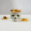 Retro Tabletop Decor Porcelain Gothic Skull Pasta 7