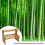 2 Layers Bamboo Storage Rack Kitchen Spice Jar Bot 4