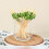200Pcs Christmas Cocktail Picks Sticks Toothpicks 8
