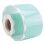 Mint Green Scalloped Rolled Border Sticker Trim - 10