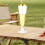 25Pcs 150ml Disposable Champagne Flutes Clear Toas 6