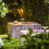 Touch LED Rechargeable Table Lamp Dining Bar Outdo 3