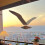 Soaring Seagulls Hanging Mobile Wing Wood Flying S 3