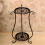2 Layer Elegant Metal Plant Shelf Flower Pot Rack 3