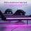 2X Waterproof Electric Scooter Foldable LED Strip 3