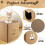 Cat Cardboard House with Scratch Pads Play & Home 10