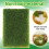 2PCS 58x85mm Miniature Weeds Cluster Hand-Torn Mod 5