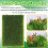 2PCS 58x85mm Miniature Weeds Cluster Hand-Torn Mod 8