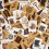 8 Styles Scrapbooking Material Paper,Decorative Co 1