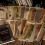 Retro Trace Book Page Material Paper Old Text News 3