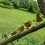 Rusty Birds Decoration, Metal Birds Statues Lifeli 11
