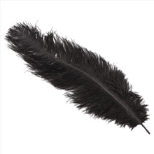 20 x plume d'autruche naturel 25-30cm noir fêtes décoration