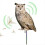 Acrylic Bird Repeller Simulation Owl Reflective Or 8