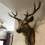 45cm Nordic Lucky Deer Head Wall Hanging Sculpture 3