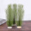 6X Aquarium Decorations Fish Tank Artificial Green 5
