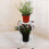 2X Two-Layer Elegant Metal Plant Stand Shelf Potte 5