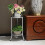 2X Two-Layer Elegant Metal Plant Stand Shelf Potte 4