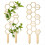 Pothos Plant Climber Support,Wooden Honeycomb Indo 11