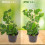 Pothos Plant Climber Support,Wooden Honeycomb Indo 10