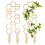 Pothos Plant Climber Support,Wooden Honeycomb Indo 9