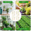 Pothos Plant Climber Support,Wooden Honeycomb Indo 7