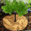 Flower Pot Mats Shielding Tree Fence Anti-Weed Dec 7