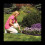 Garden Lawn Edging - 60 Pack Landscape Border Flex 8