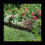 Garden Lawn Edging - 60 Pack Landscape Border Flex 5