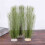 12X Aquarium Decorations Fish Tank Artificial Gree 5